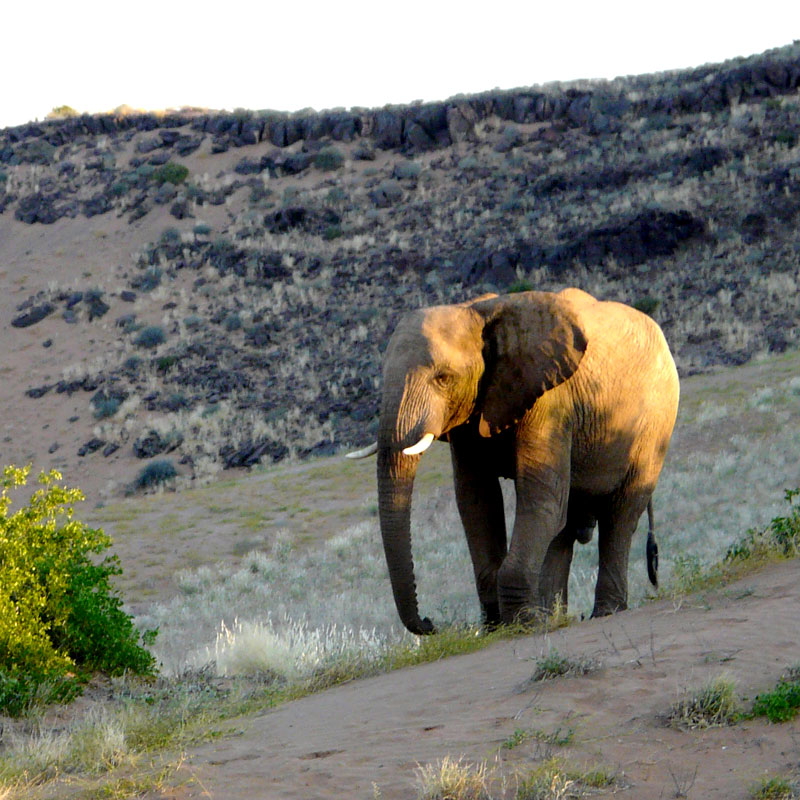 Damaraland